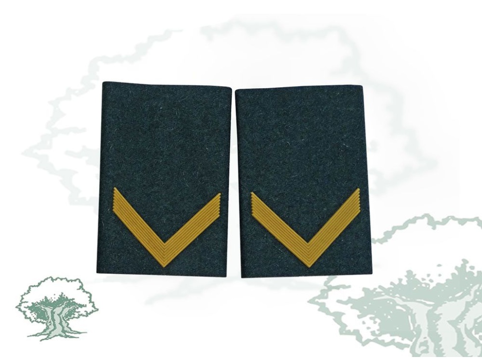 Hombreras Alumno Guardia Civil