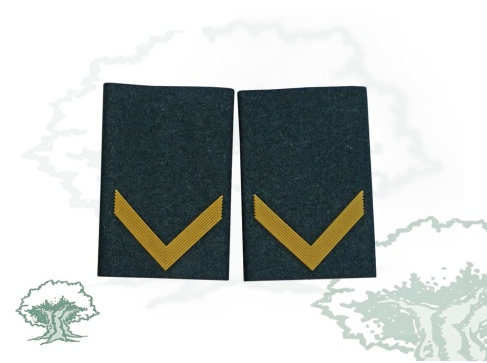 Hombreras Alumno de la Guardia Civil