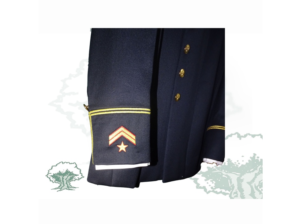 Uniforme gran etiqueta ejercito de fashion tierra