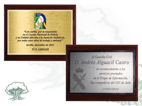 Metopa dedicatoria personalizada a láser o color