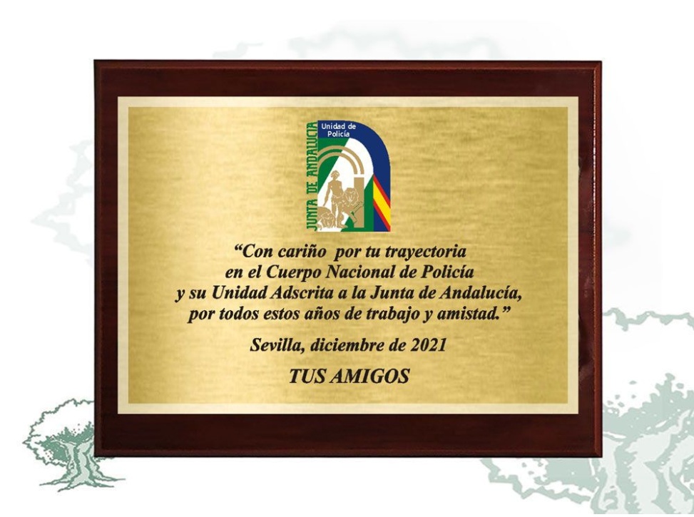 Metopa dedicatoria personalizada a láser o color