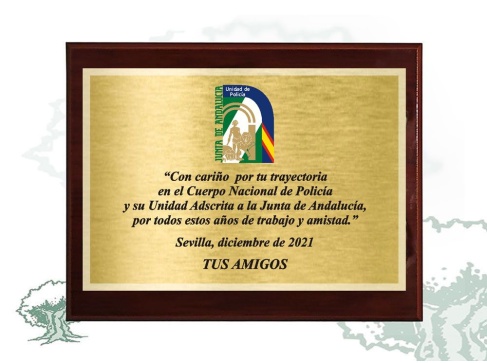 Metopa dedicatoria personalizada