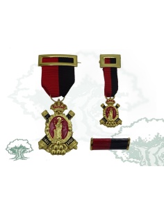 Medalla V Centenario de Santa Bárbara con miniatura