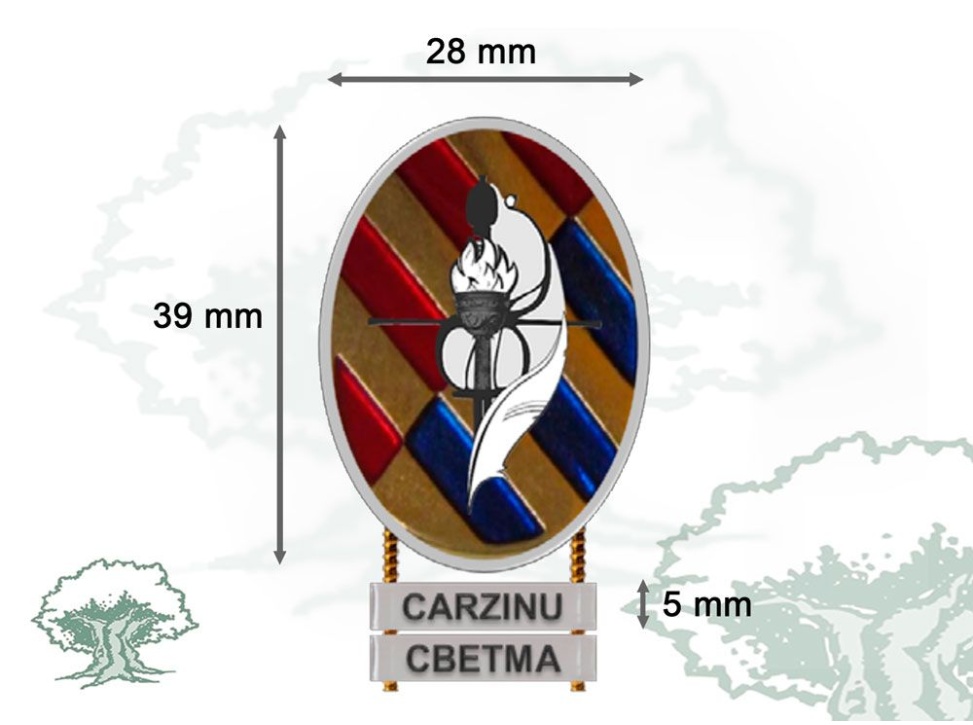 Distintivo de título Curso Básico Emergencias MTM