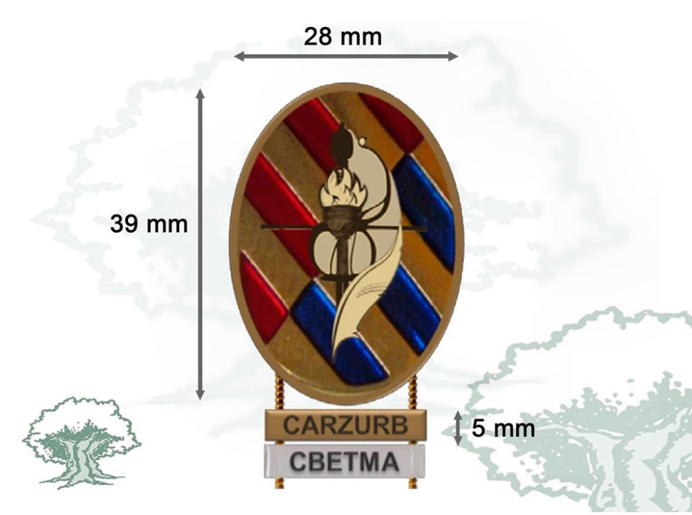 Distintivo Título Curso Básico Emergencias Of y S/Of