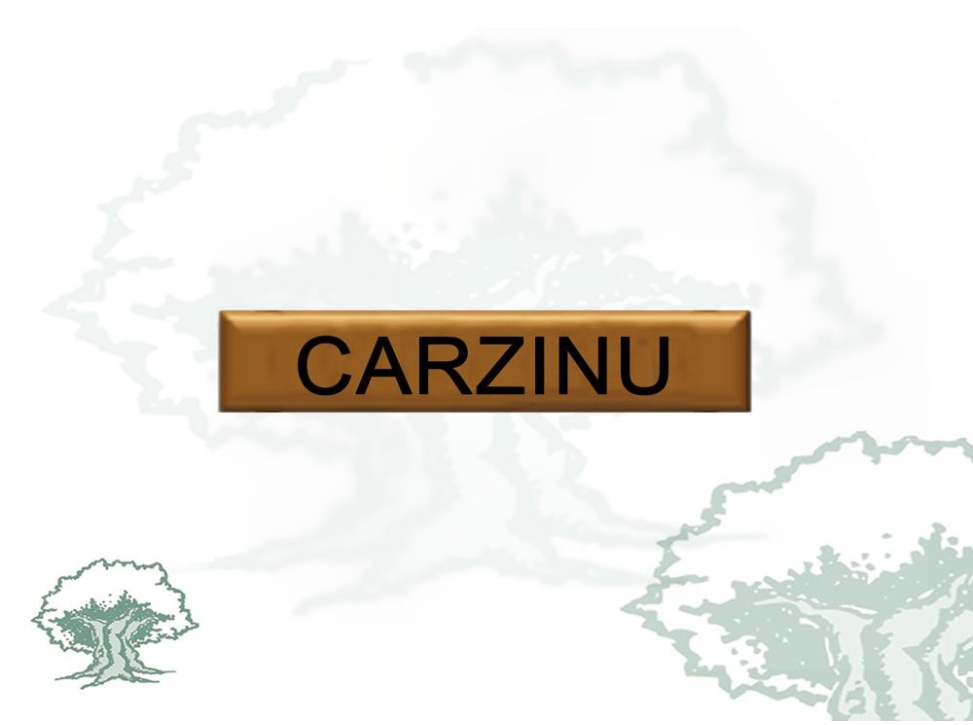 Barra Distintivo Curso Básico de Emergencias