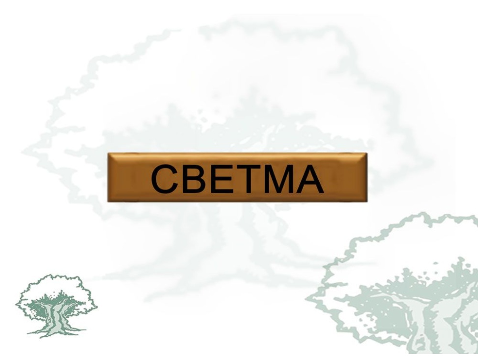 Barra Distintivo Curso Básico de Emergencias