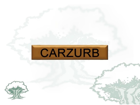 Barra Distintivo Curso Básico de Emergencias