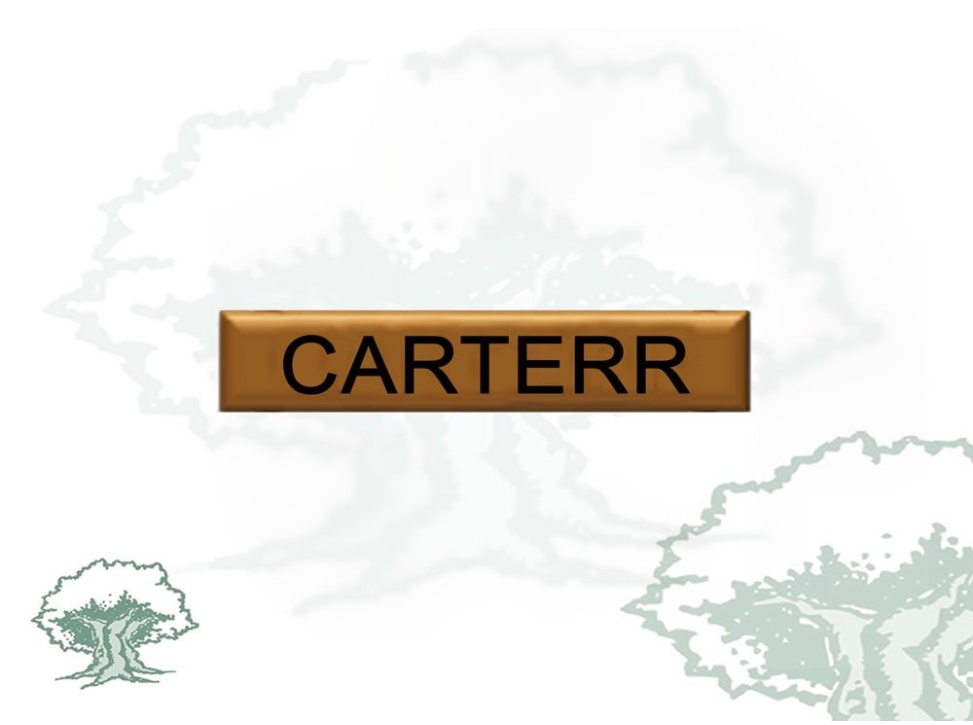 Barra Distintivo Curso Básico de Emergencias