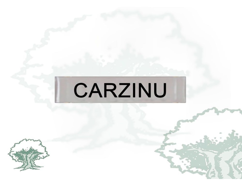 Barra Distintivo Curso Básico de Emergencias