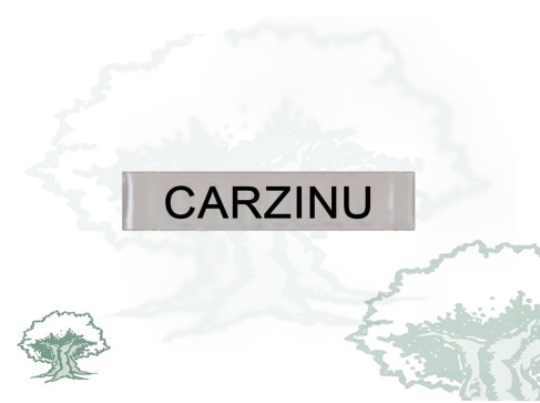 Barra Distintivo Curso Básico de Emergencias