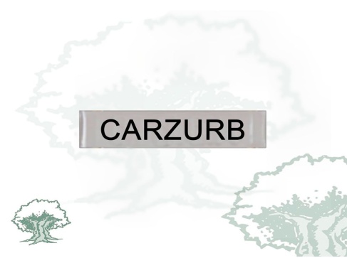 Barra Distintivo Curso Básico de Emergencias