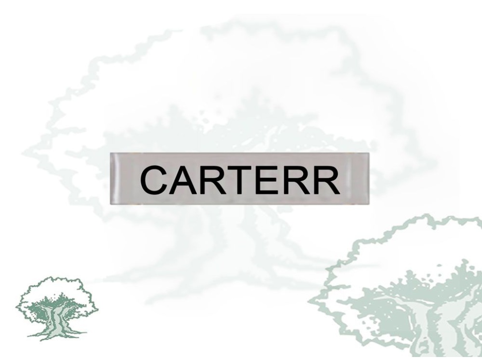 Barra Distintivo Curso Básico de Emergencias