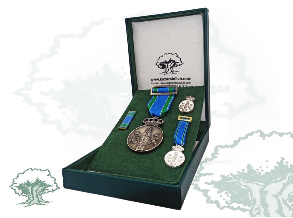 Medalla Centenario Virgen del Pilar pin y pasador