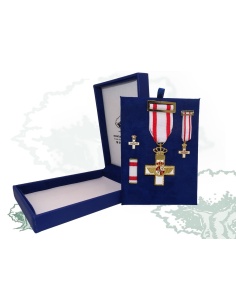 Cruz Mérito Aeronáutico distintivo blanco de lujo