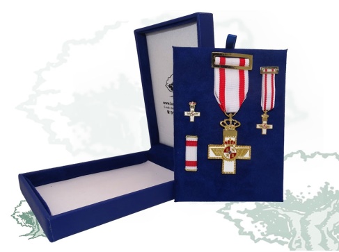 Cruz del Mérito Aeronáutico distintivo blanco de lujo