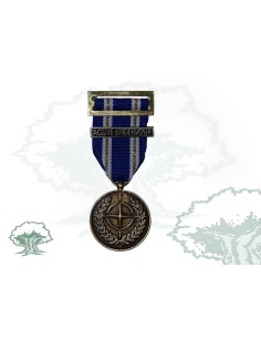 Medalla OTAN (Active Endeavour)