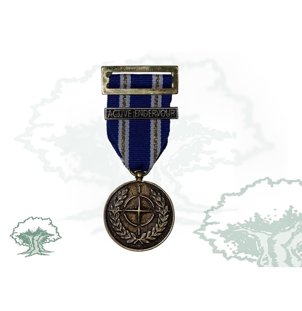 Medalla de la OTAN (Active Endeavour)