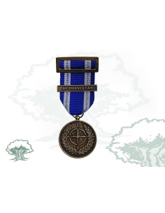 Medalla OTAN (Afganistan, Paquistan)