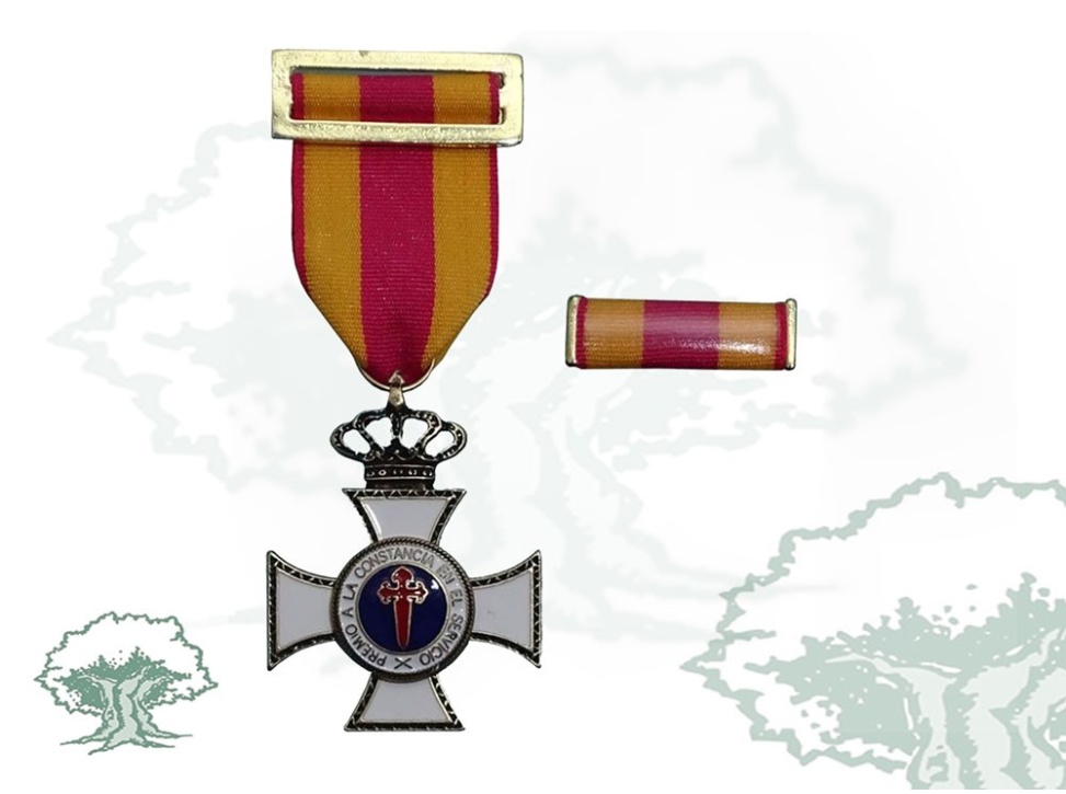 Cruz Constancia en el Servicio de bronce