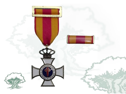 Cruz Constancia en el Servicio de bronce