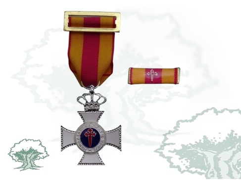 Cruz a la Constancia en el Servicio de plata