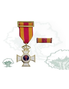 Cruz Constancia en el Servicio de oro