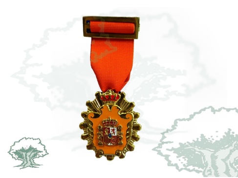 Medalla Licenciado en Ciencias Sociales