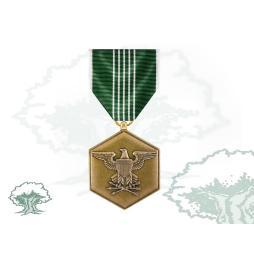 Medalla del Mérito Militar EEUU