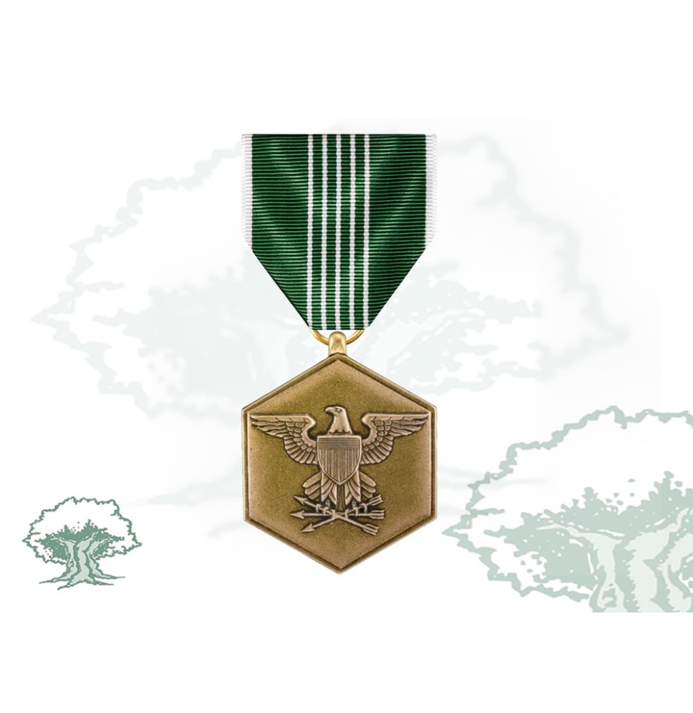 Medalla Mérito Militar EEUU