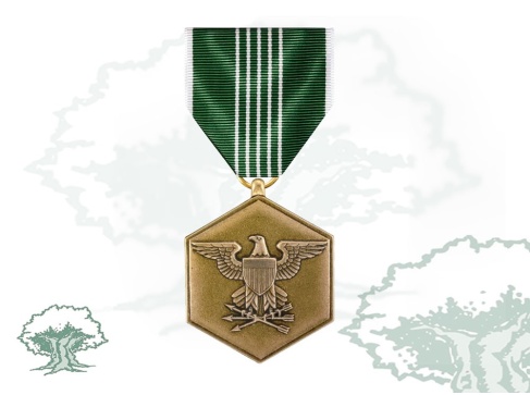 Medalla Mérito Militar EEUU