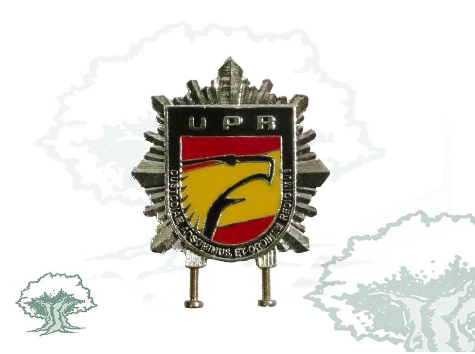 Distintivo de permanencia UPR Policía Nacional
