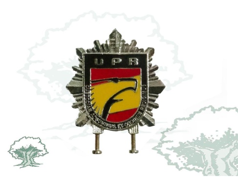 Distintivo de permanencia UPR de la Policía Nacional