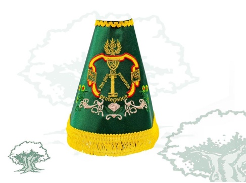 Manto Virgen del Pilar Guardia Joven mediano