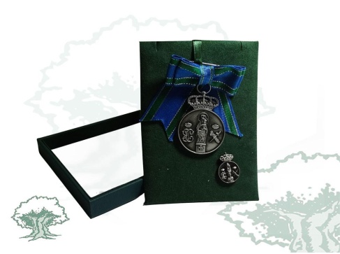 Medalla Centenario Virgen del Pilar lazo pin