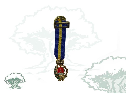 Medalla Ciudad de Algeciras miniatura