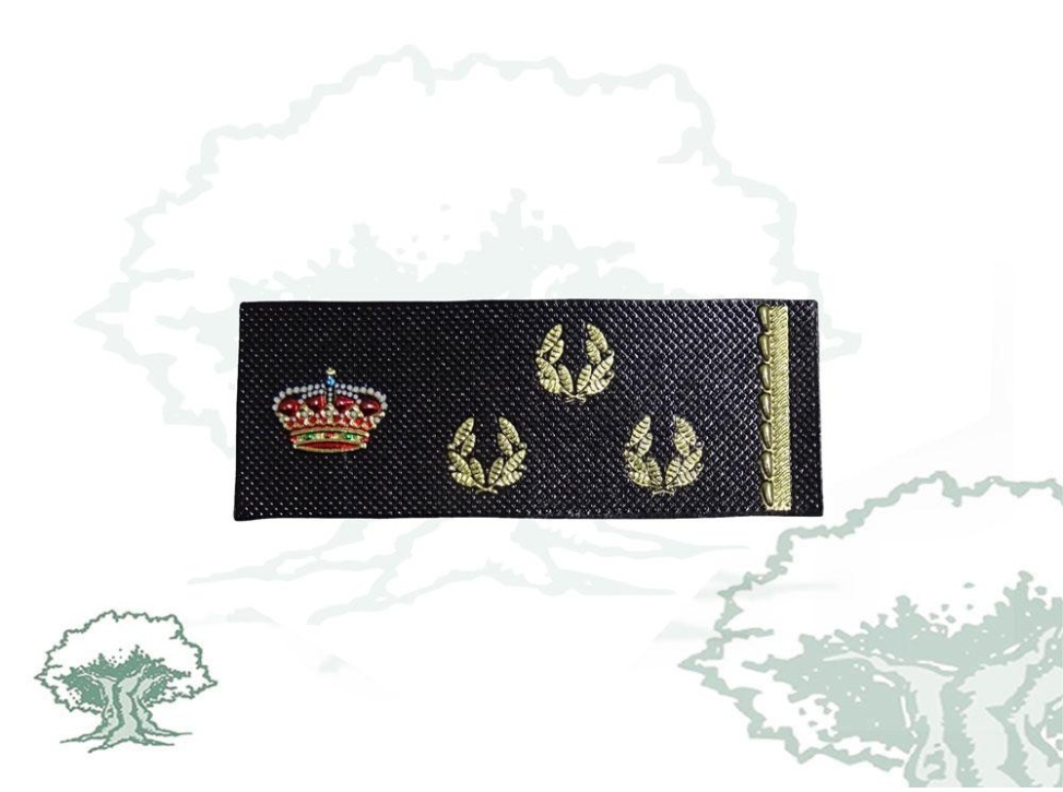 Tira de rango Inspector Policía Nacional nueva