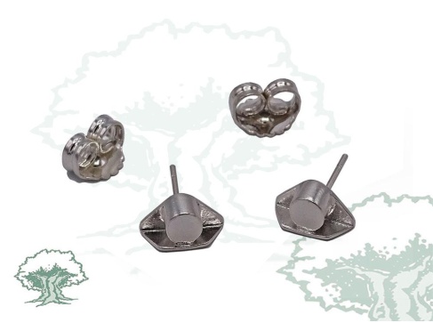 Pendientes tricornio de plata