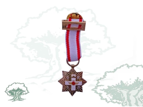 Placa del Mérito Aeronaútico miniatura Placa del Mérito Aeronaútico miniatura