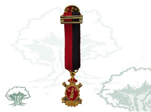 Medalla conmemorativa V Centenario de Santa Bárbara miniatura