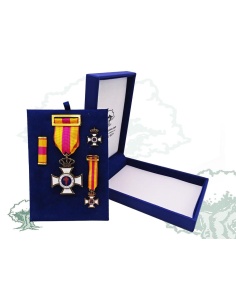 Cruz Constancia en el Servicio de bronce de lujo