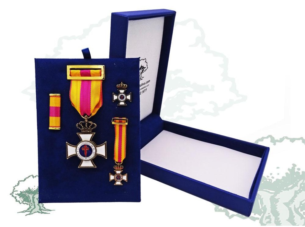 Cruz Constancia en el Servicio de bronce de lujo