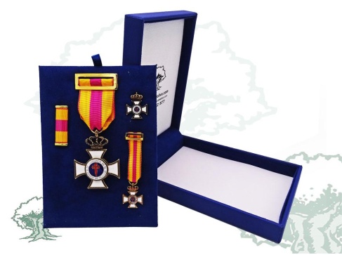 Cruz a la Constancia en el Servicio de bronce de lujo