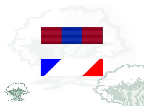 Pasador para montaje de telas especial Rodmen escalable