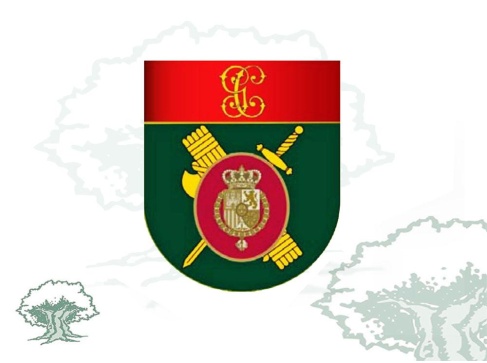 Distintivo de título Protección Instalaciones y Gestión Seguridad Casa Real