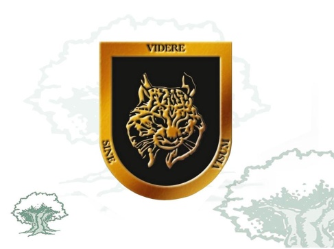 Distintivo Grupo de Apoyo Operativo (GAO)