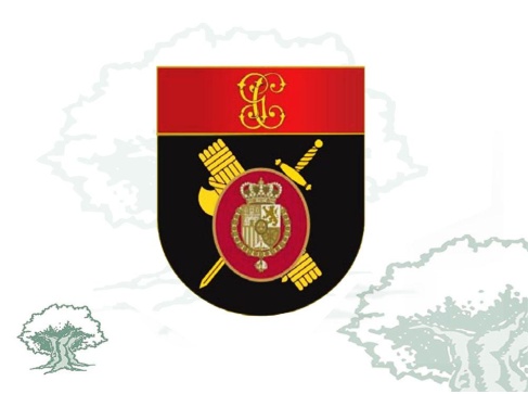 Distintivo de título Escolta de la Casa Real Distintivo de título Escolta de la Casa Real