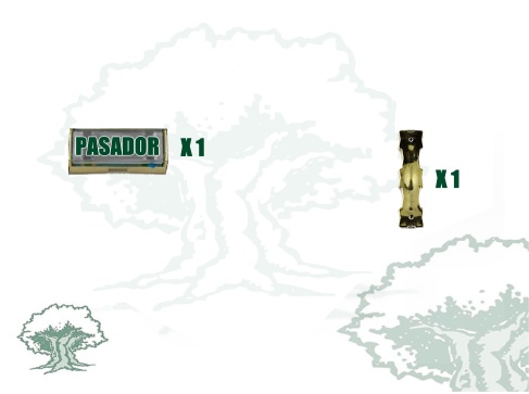 Ampliación pasador de 10 a 11 huecos