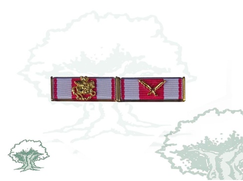 Pasador 2 huecos Rodmen escalable