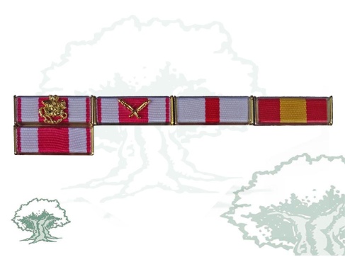 Pasador 5 huecos Rodmen escalable